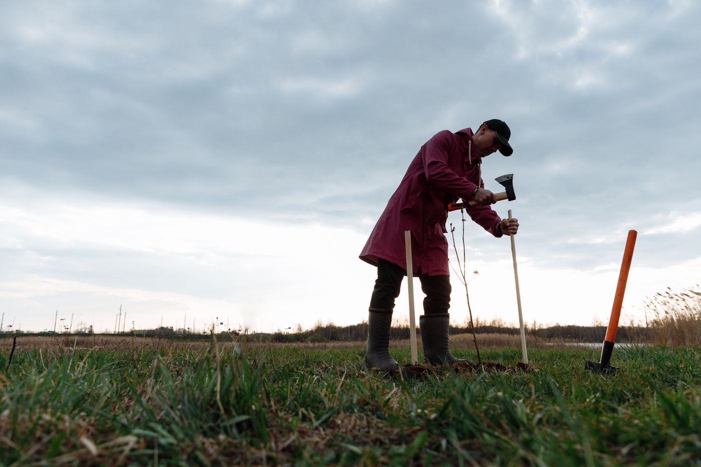 A person planting a sapling at sunset