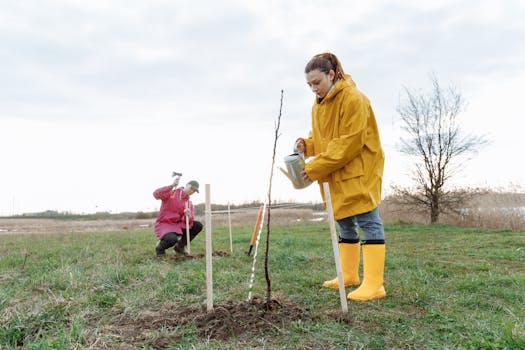 Two people engage in tree planting outdoors, contributing to environmental conservation.