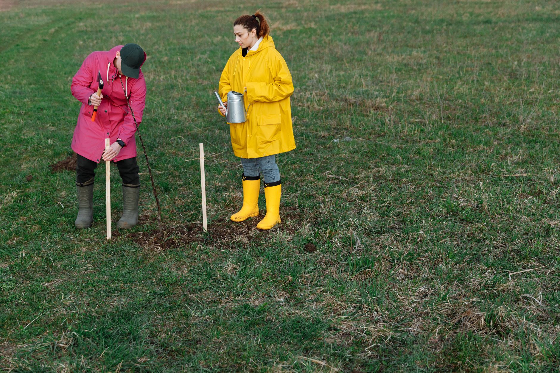 Volunteer Sunday on a Biodiverse Farm