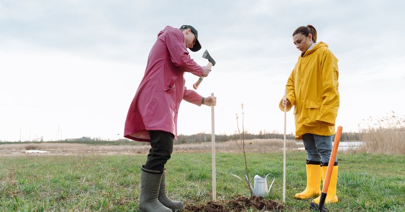 Creuser une mare dans son jardin : a-t-on le droit ?