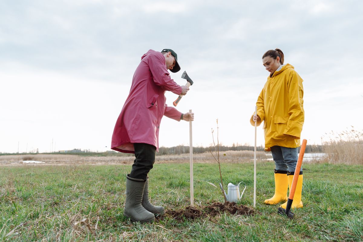 Volunteer naturalists and Saintes residents conducting a riparian tree survey along the Charente