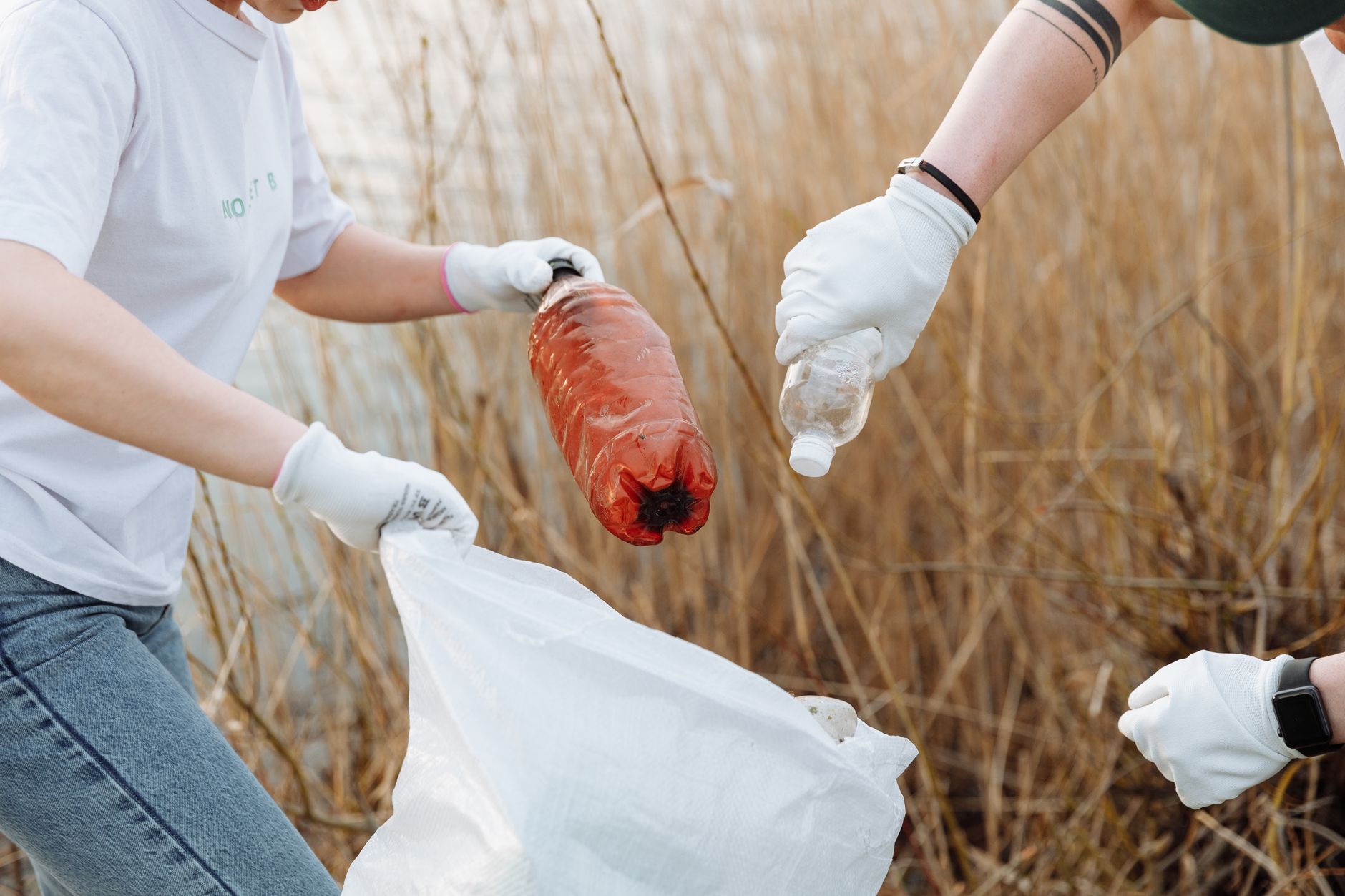 Wind plastic pollution landscape — Curiosidades