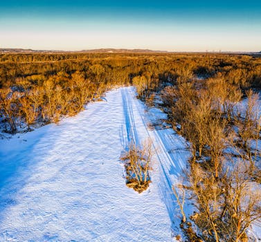 Aerial photograph showcasing a snowy landscape in Alma, Wisconsin with bare trees and a clear sky.