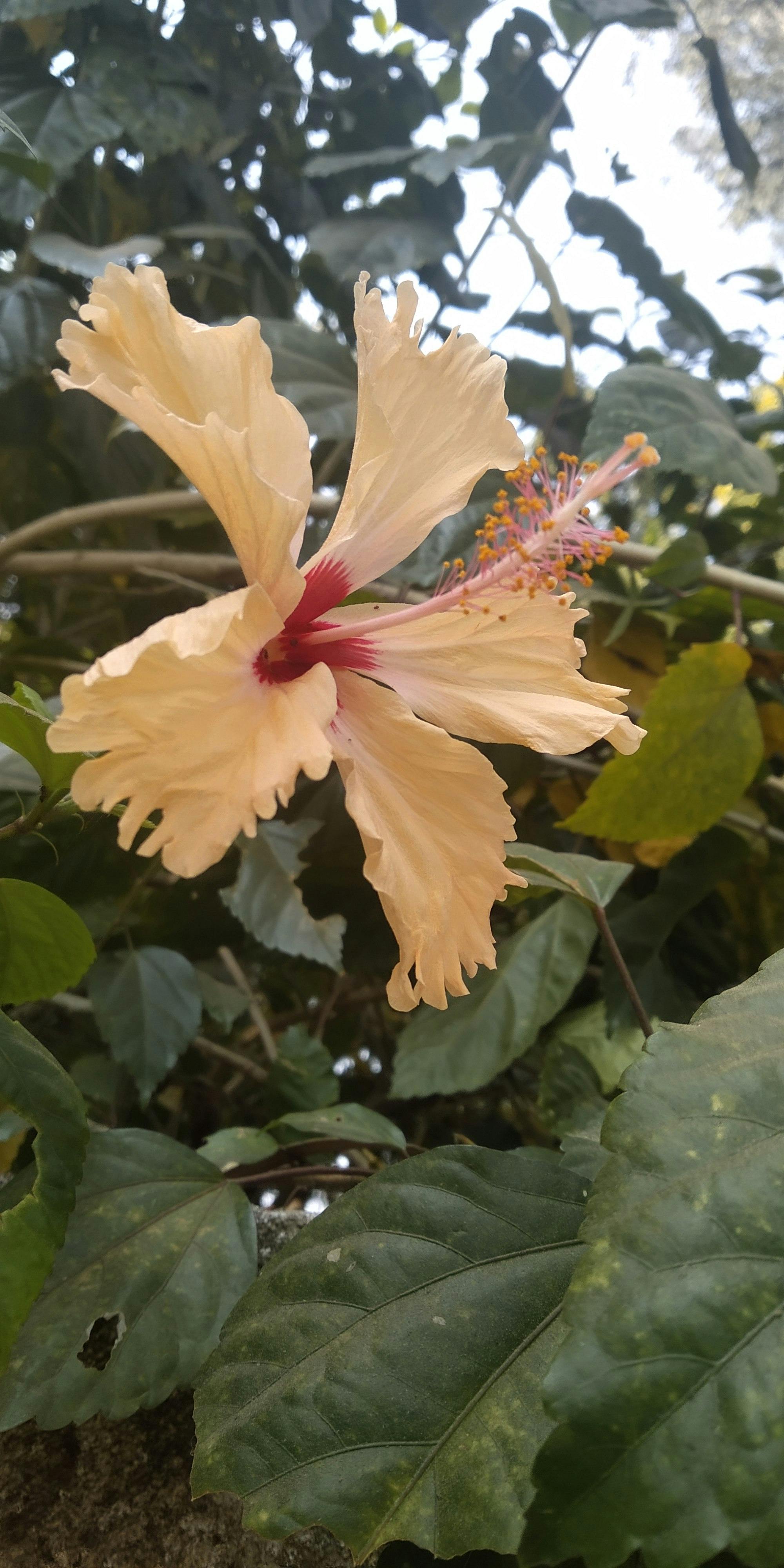 بناء بصمة خبير لمتجر إلكتروني