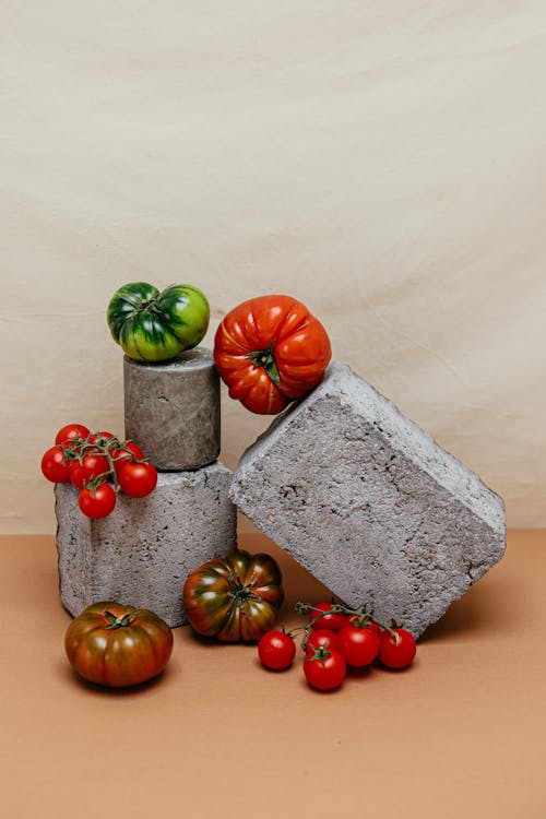 Fresh Tomatoes  Arranged on Geometric Shaped Concretes