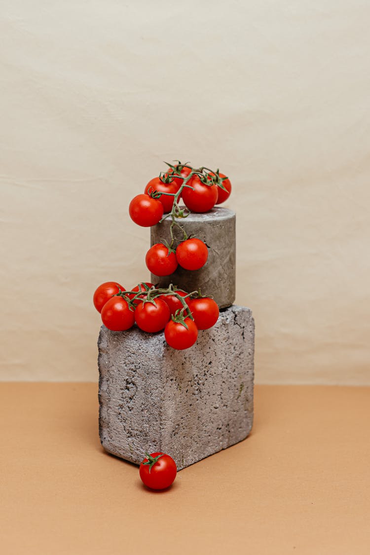 Red Tomatoes On Concrete Blocks 