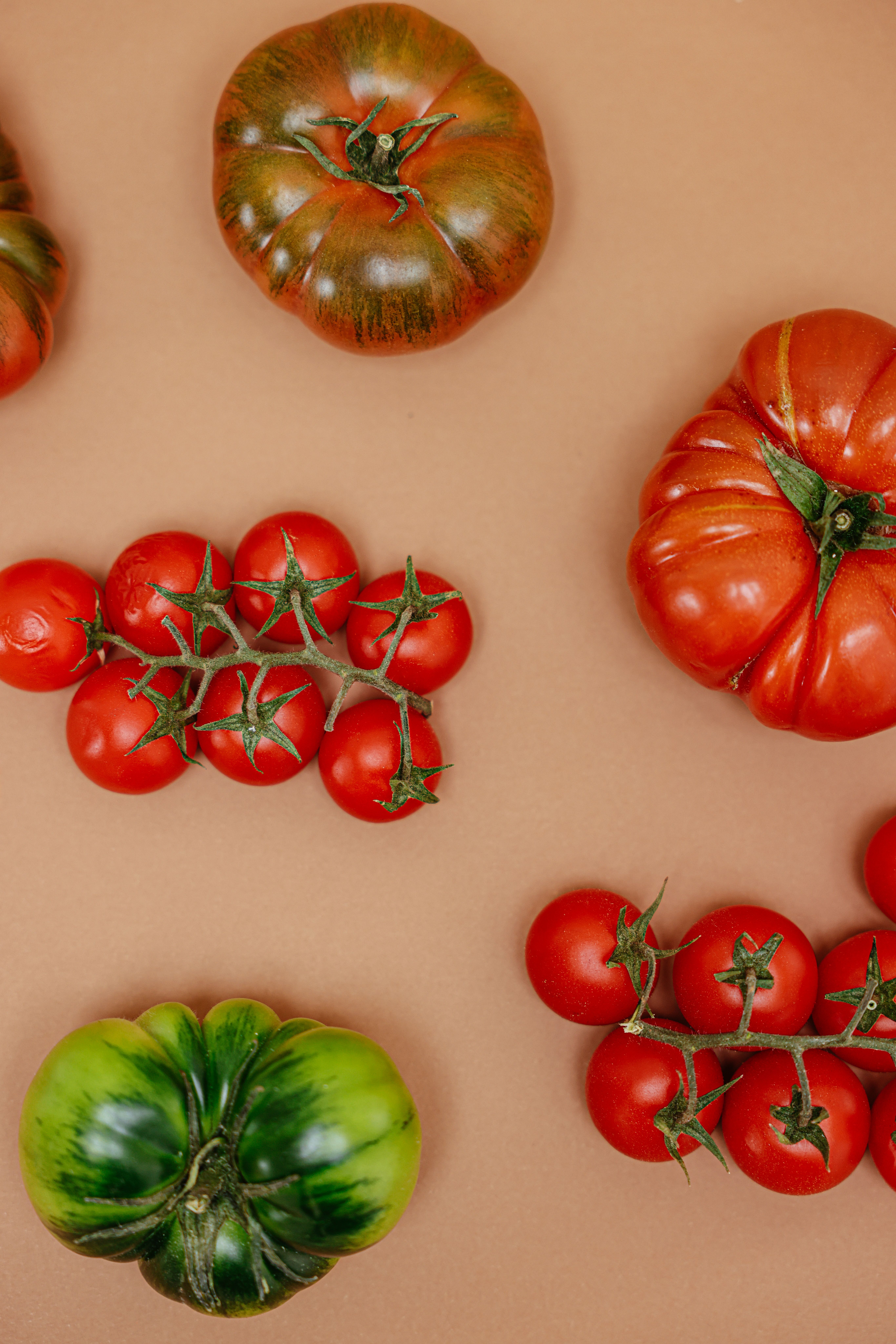 The Most Popular Portable Greenhouse
