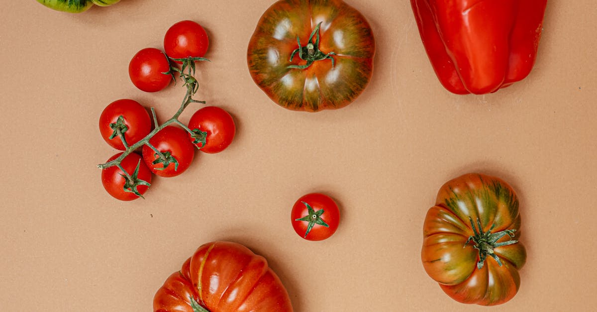 Flat lay of colorful organic vegetables including bell pepper, tomatoes, and onion.