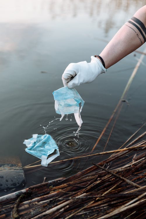 Photos gratuites de déchets, détritus, eau