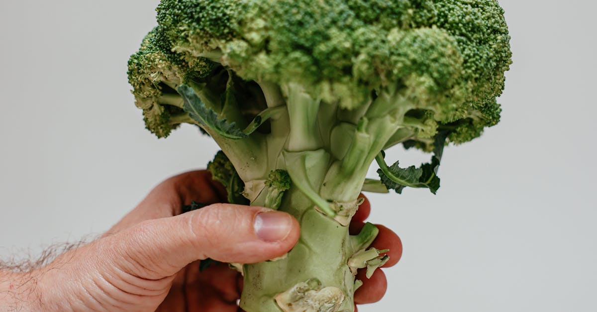 【2025 LIVE!享綠生活派對】🌿市集亮點全攻略,滿額贈禮與獨家好友禮一次揭曉!