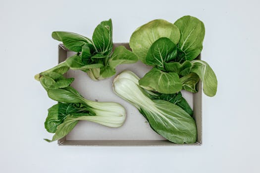 Top view of fresh green bok choy placed in a box, showcasing its crisp and healthy texture.