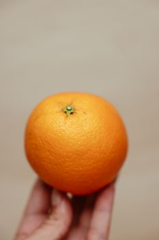 Close-up view of a hand holding a fresh orange, highlighting its texture and vibrant color.