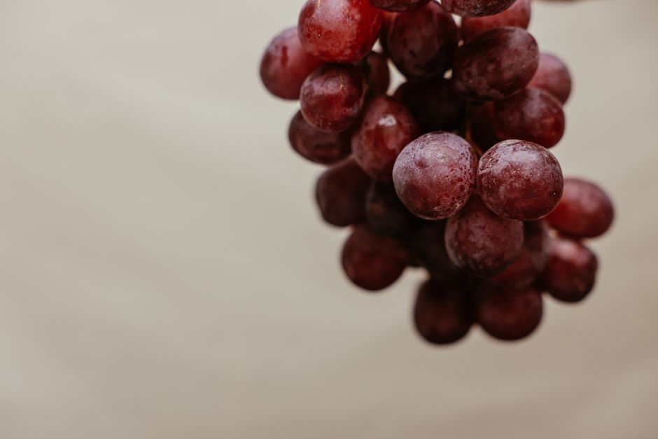 Vibrant red grapes on a vine, showcasing fresh and organic fruit perfect for healthy eating.