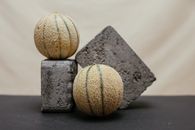 Melons Beside the Concrete Blocks