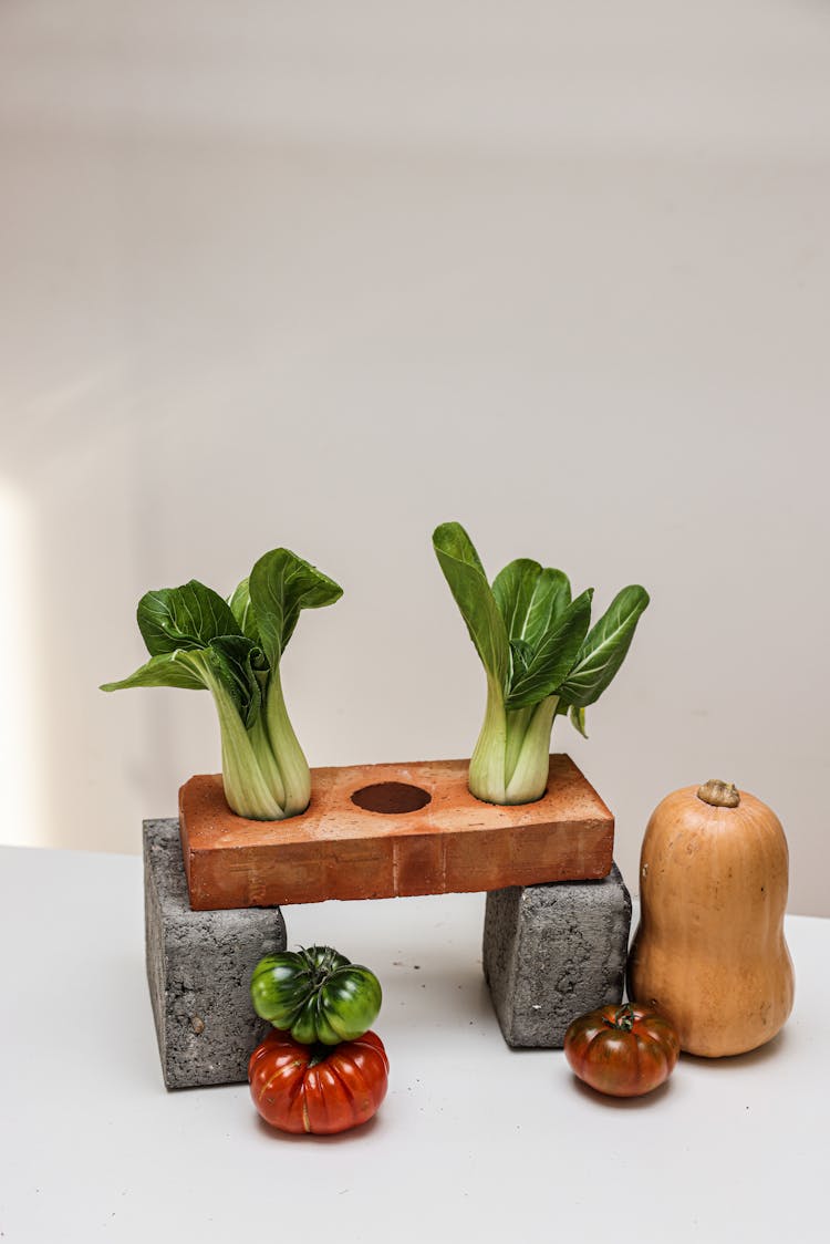 A Food Presentation Of Fresh Vegetables