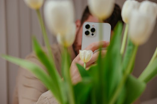 Individual capturing a photo with a smartphone behind white tulips indoors.