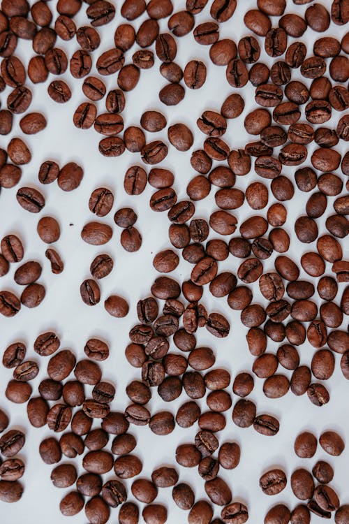 Close-Up Shot of Coffee Beans on a White Surface