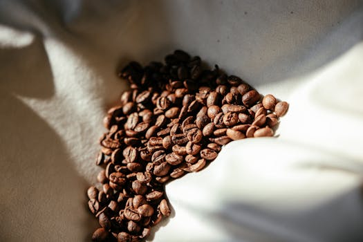 A close-up shot of roasted coffee beans on a white surface, highlighted by sunlight.
