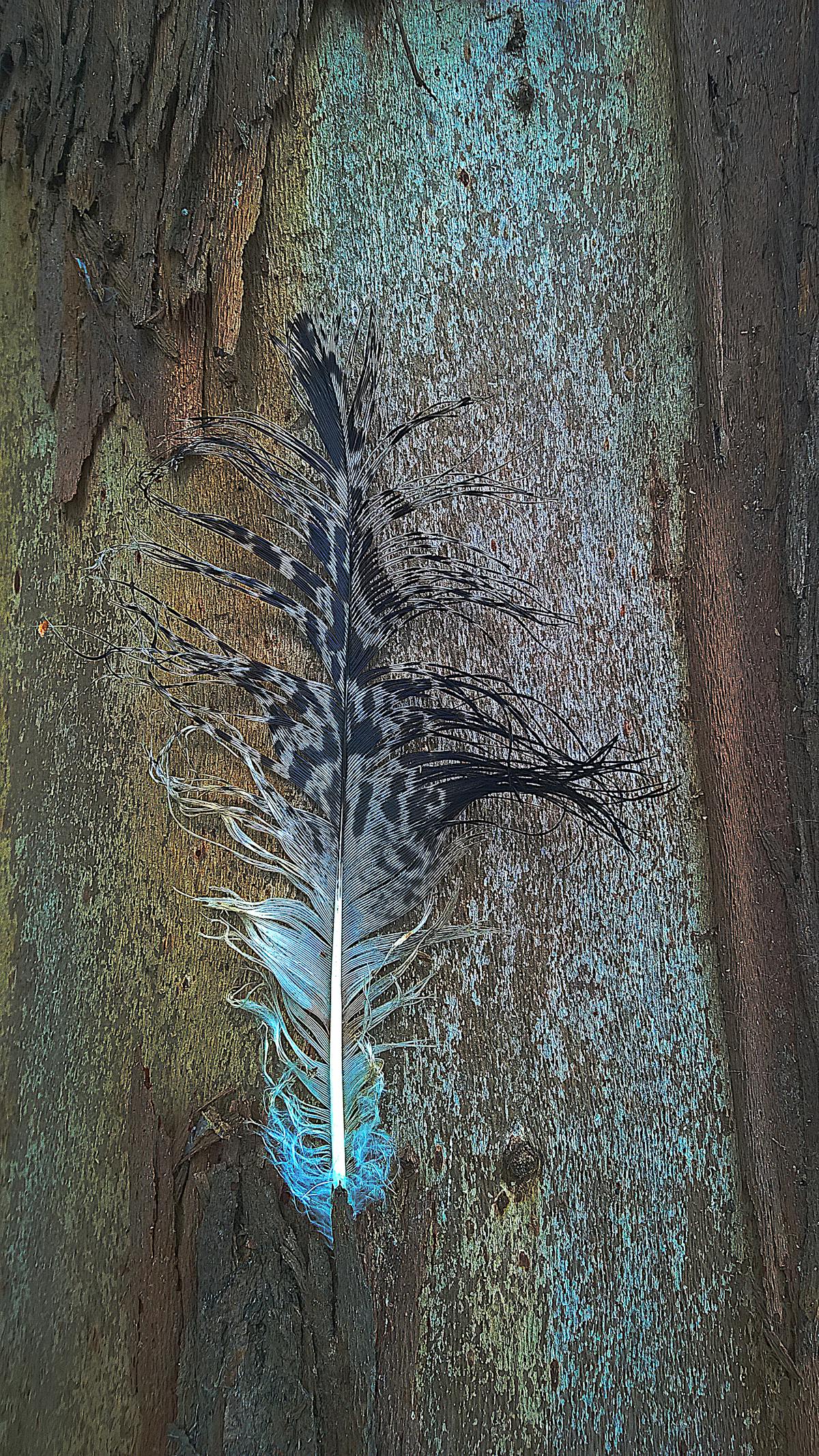 Blockchain concept overlaid on medical and health data visuals