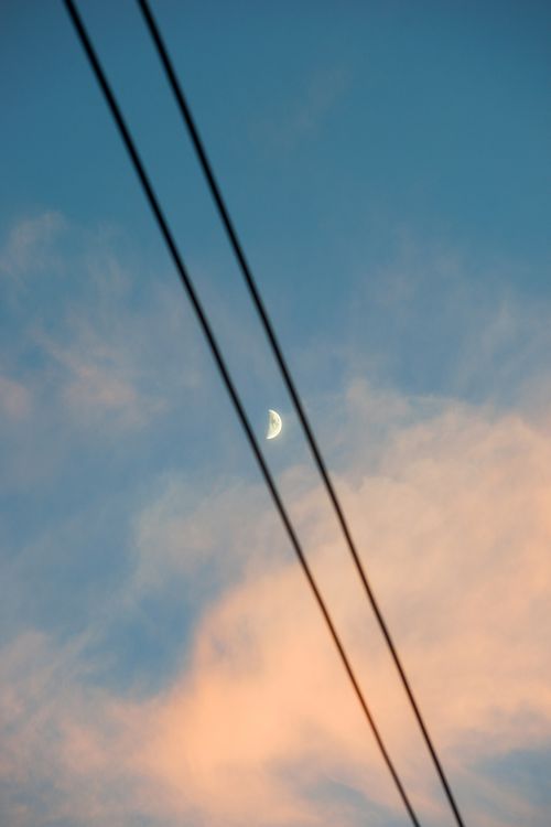 Free Serene half moon over Seattle with pink clouds and electricity lines at twilight. Stock Photo