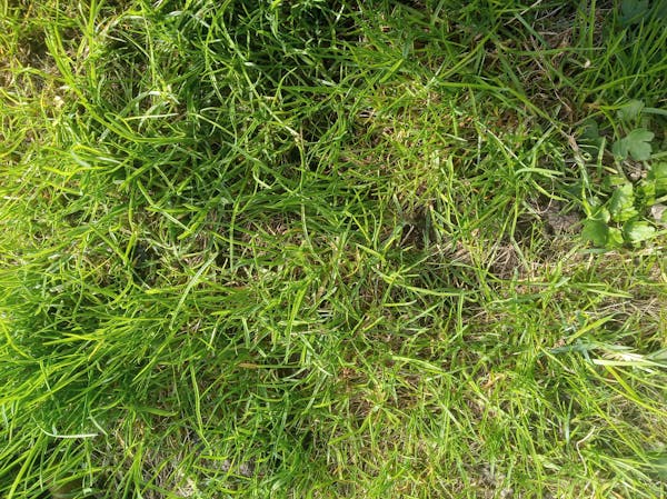 Электронный замок