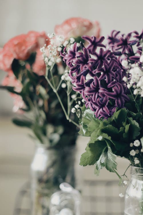 Free Purple Flowers in a Glass Vase Stock Photo