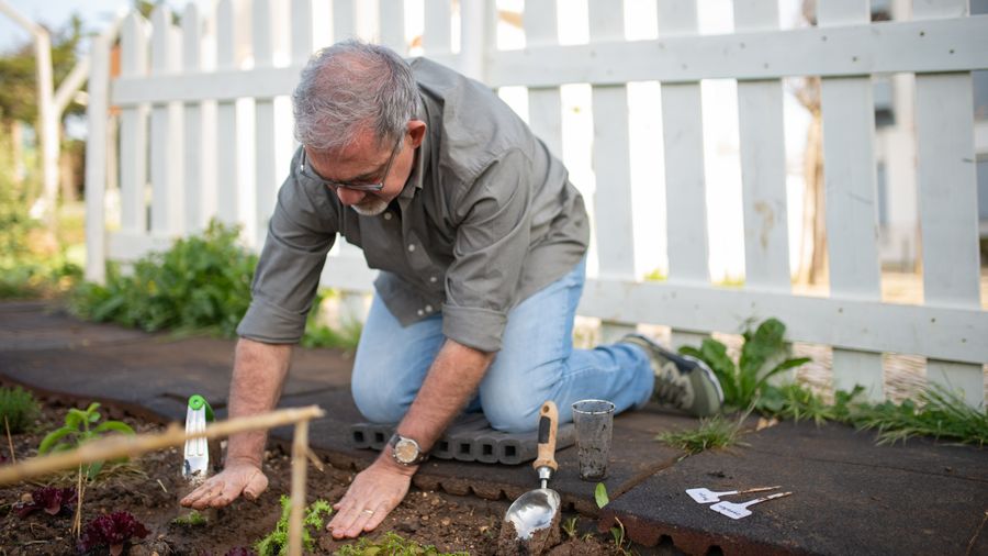 Houseplant Care Basics: The Six Things That Actually Matter