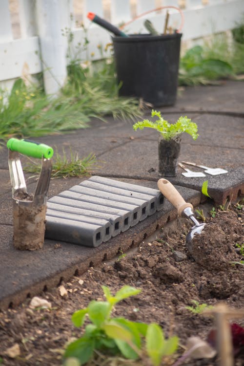 Bulb Planter Beside a Green Plant