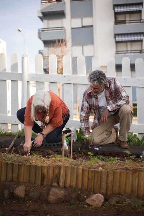 Elderly Couple Planting Vegetables