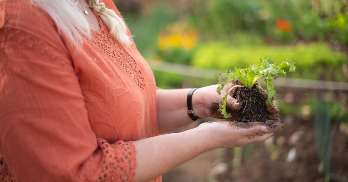 Woman holding a plant seedling in a garden, symbolizing growth and nature.