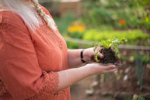 Free Woman holding a plant seedling in a garden, symbolizing growth and nature. Stock Photo