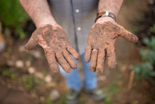 A Dirty Hands with Soil