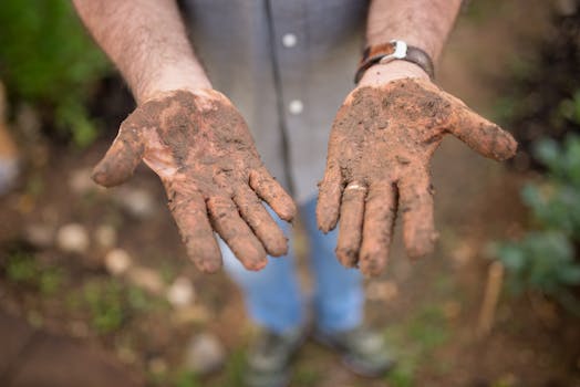 A close-up of a gardener's hands covered in soil, symbolizing hard work and nature.