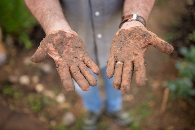 A Dirty Hands With Soil