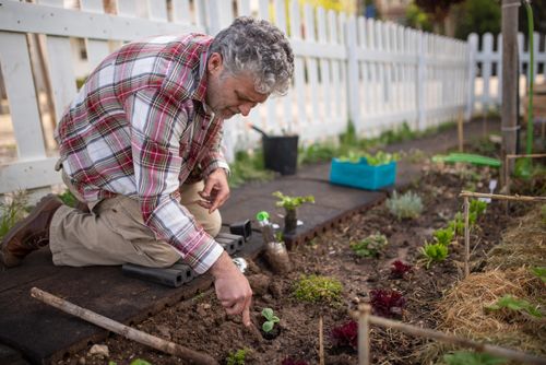 Free An elderly man kneels to plant in a vibrant garden, surrounded by tools and greenery. Stock Photo