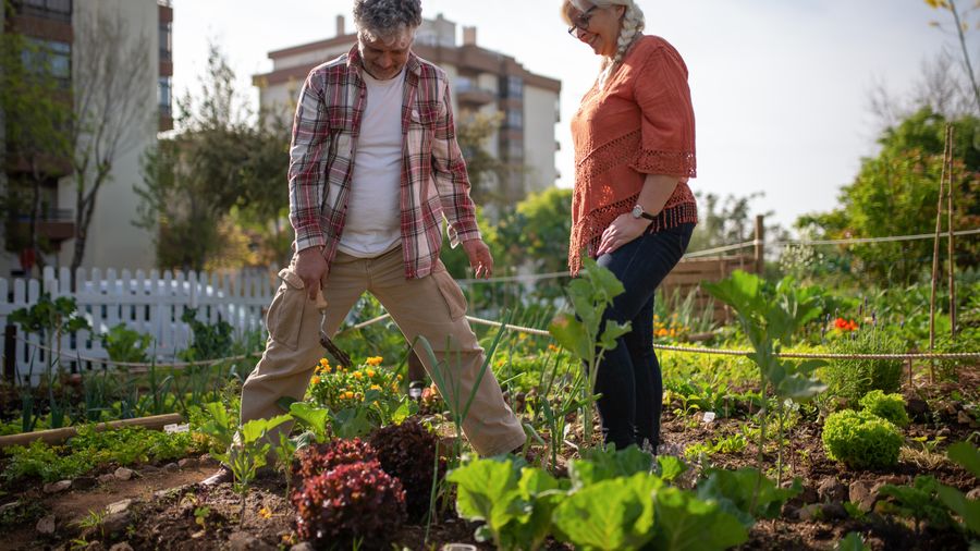 Keeping a Flower Garden Healthy All Season, Not Just at Planting Time