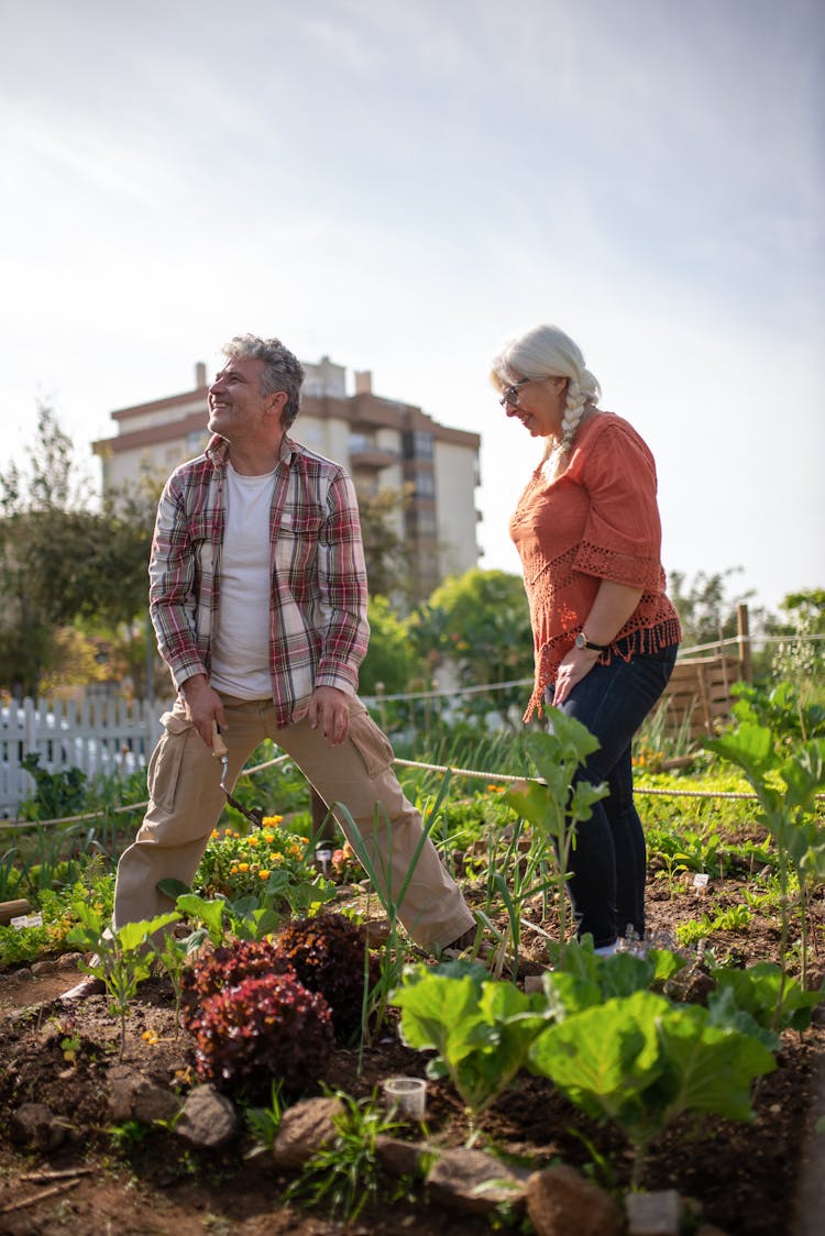 Couple Harvesting On A Garden