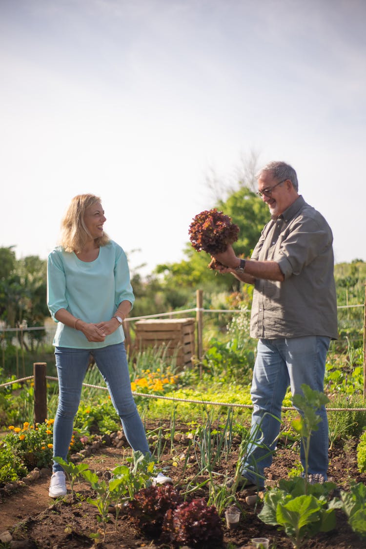 Man And Woman Gardening Vegetables