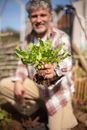 A Man Holding an Uprooted Plant
