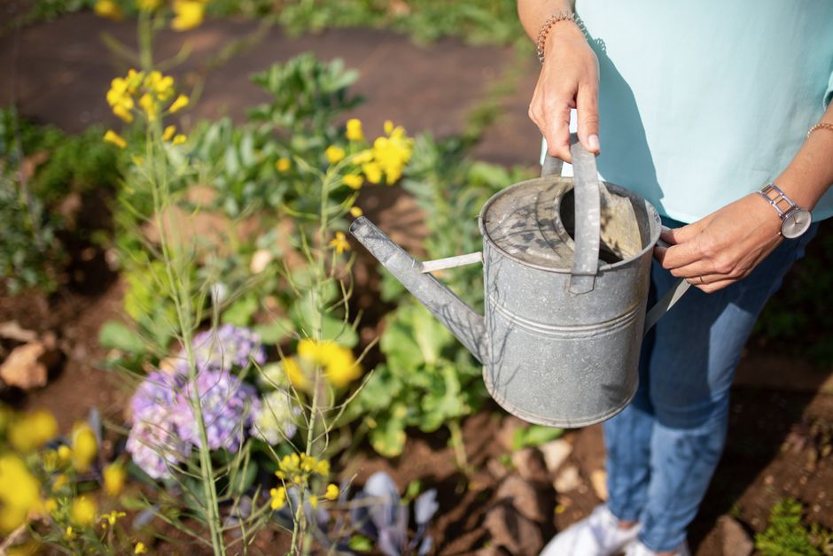 gardener using tool set planting flowers