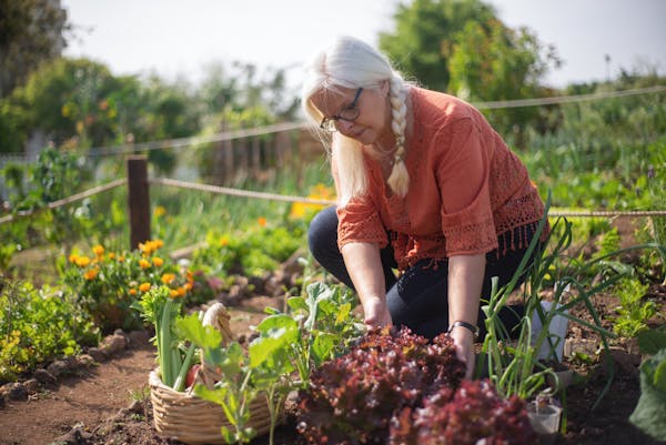 Older adult squatting down to garden — active and independent