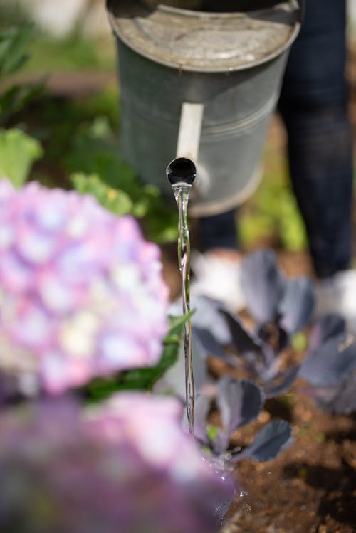 Gratis stockfoto met buiten, fabrieken, gieter