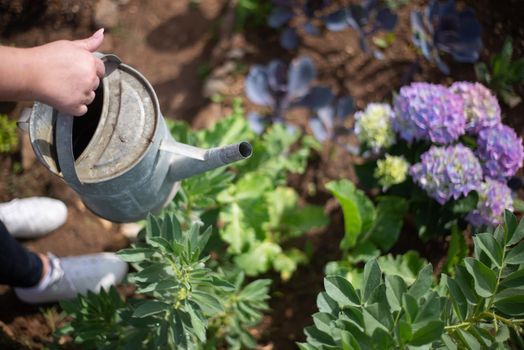 Can I Create a Smart Greywater System on a Budget? Tips for DIY Enthusiasts