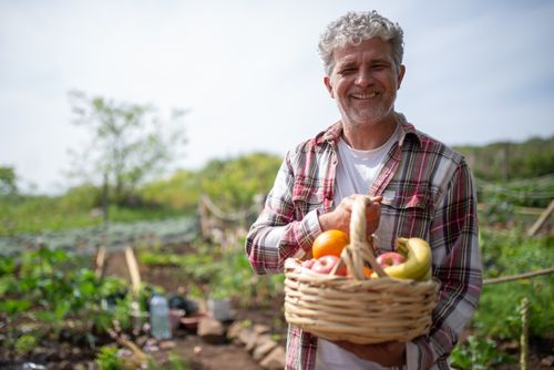 Free Smiling senior man in a garden holding a basket of fresh fruits including apples, bananas, and oranges. Stock Photo