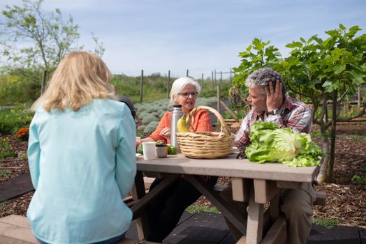 People Sitting at the Table