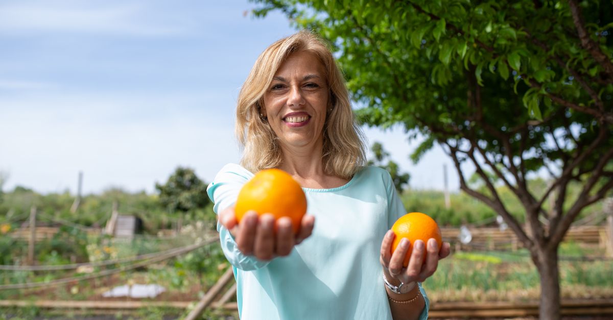 Cómo la Alimentación Consciente Mejora Tu Bienestar Diario