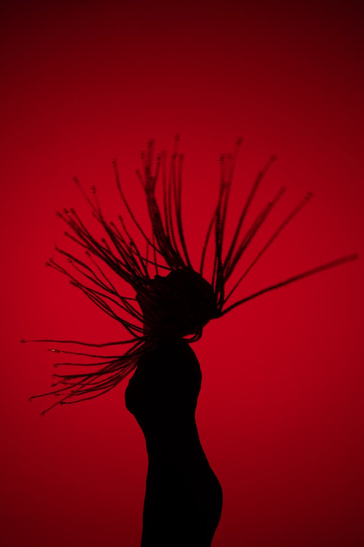 Silhouette Of Woman With Hair Up