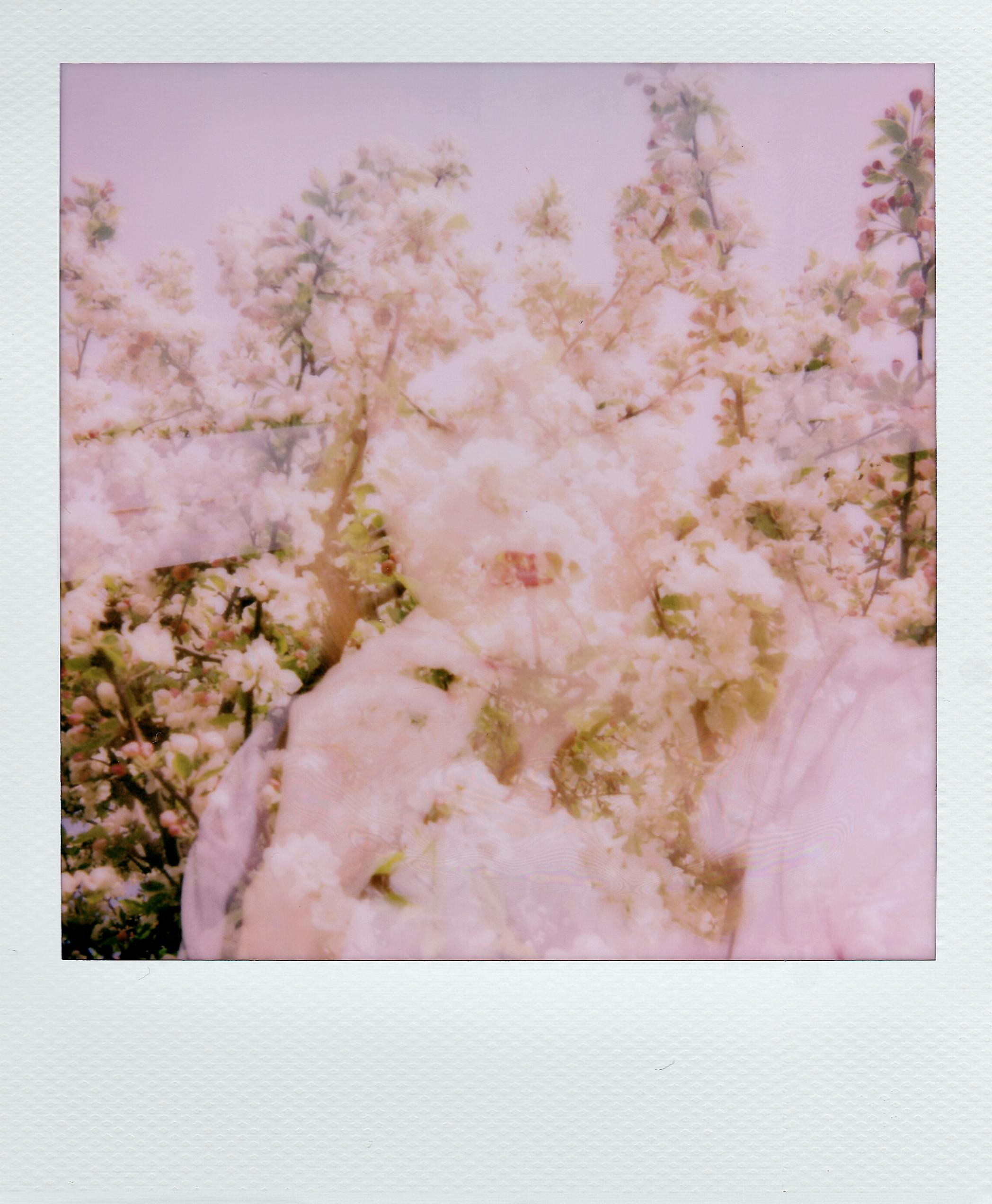 Artistic double exposure of a woman with blossoming flowers creating a dreamy effect.