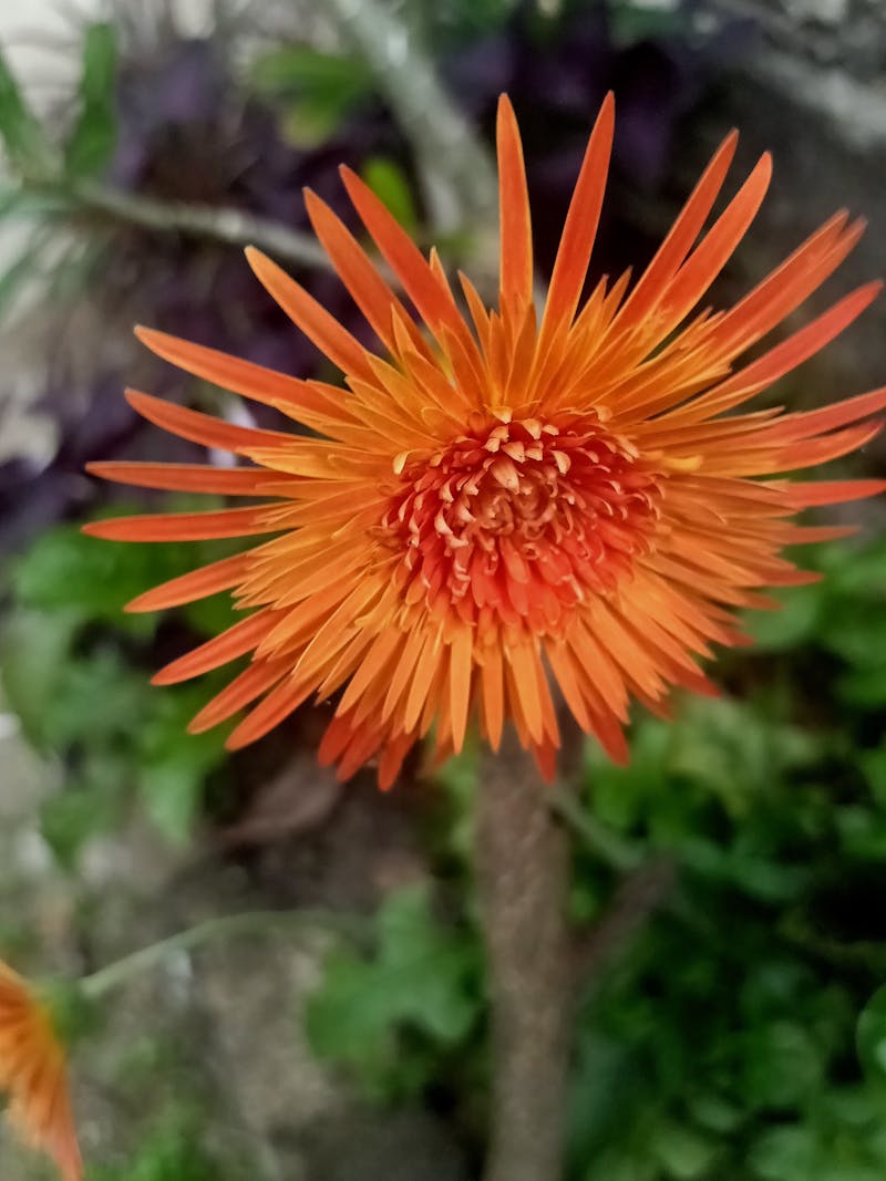 Производствен процес