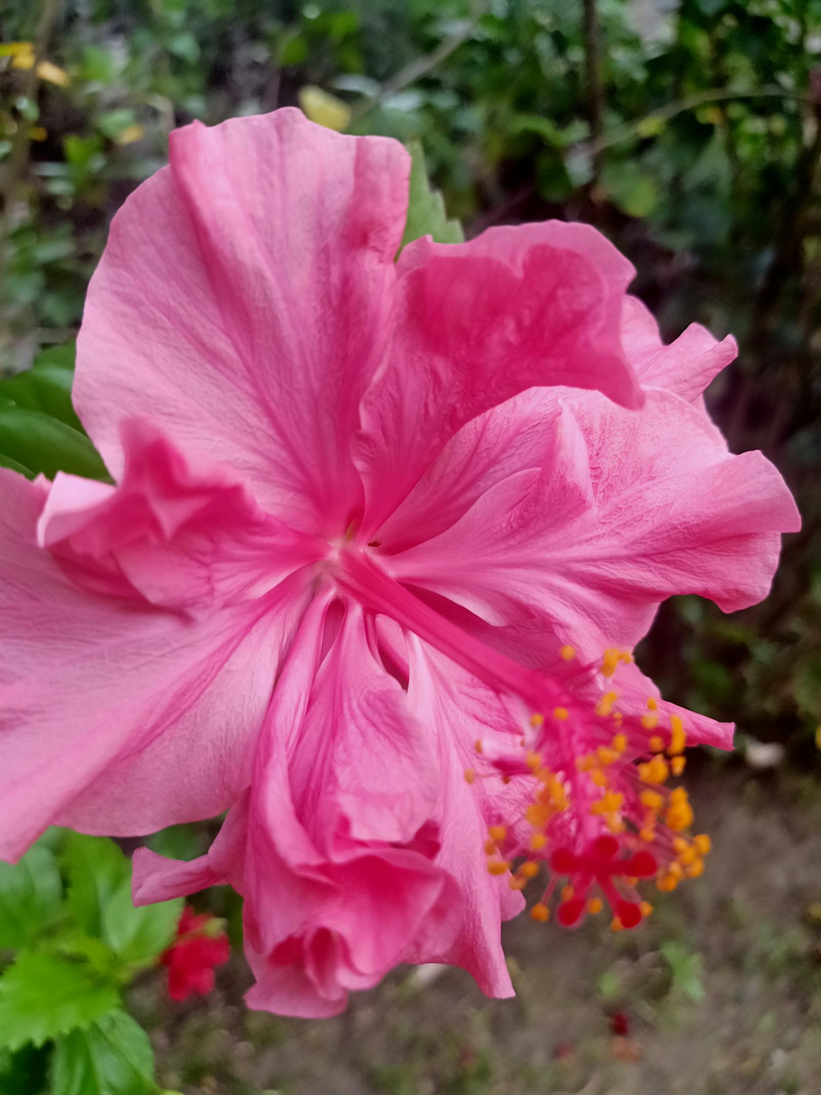 Atención de salud profesional y confidencial